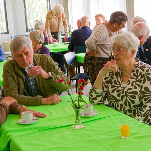 Vrijwilligersdag 2026